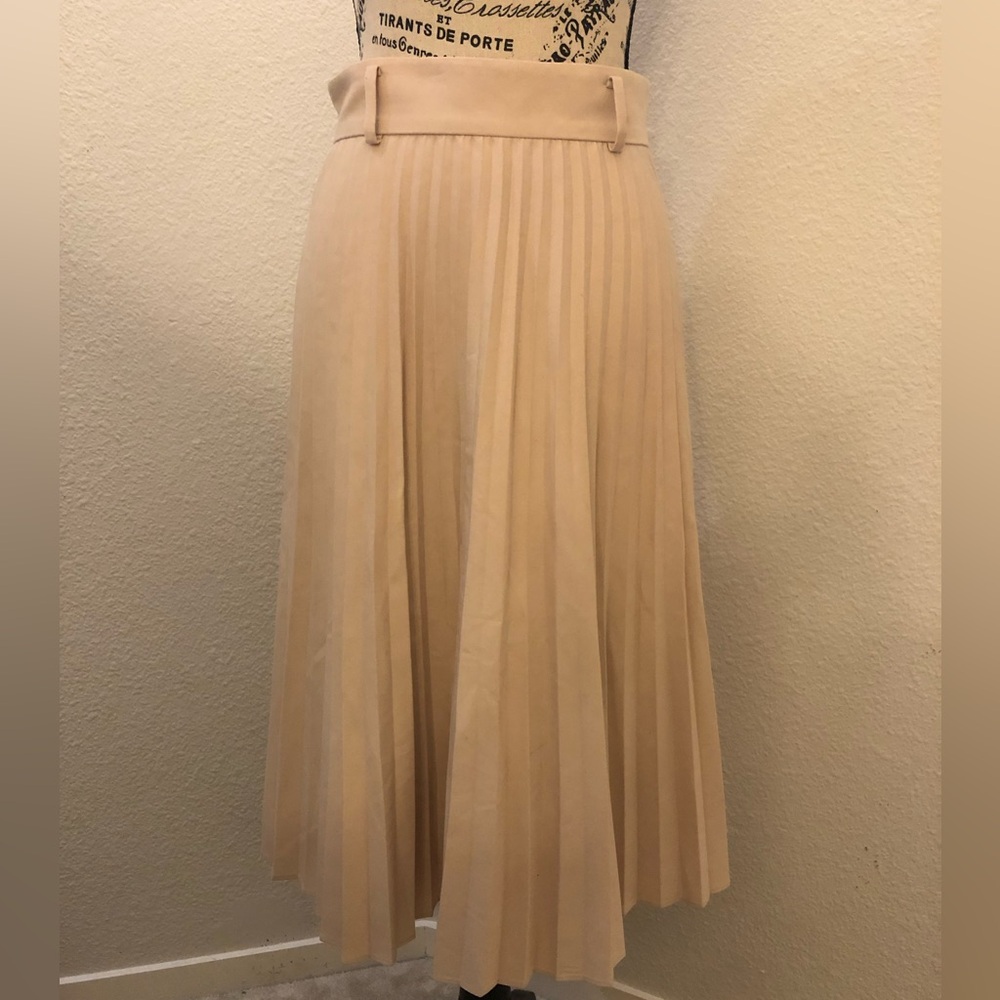 Ann Taylor Pleated Petite Skirt 2P